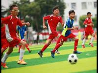 法甲直播_法甲直播高清免费_法甲无插件在线观看